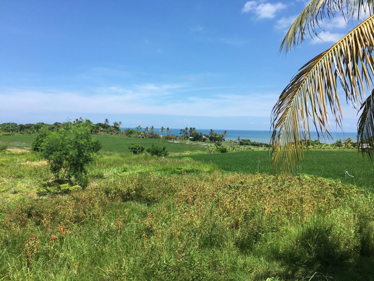 Exotica Bali Villa Canggu Εξωτερικό φωτογραφία